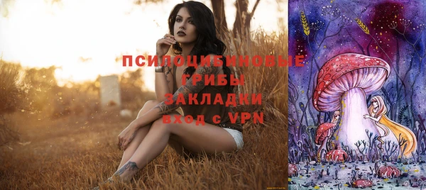 индика Медногорск
