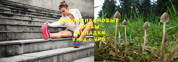 крисы Абдулино
