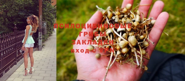 герыч Абинск