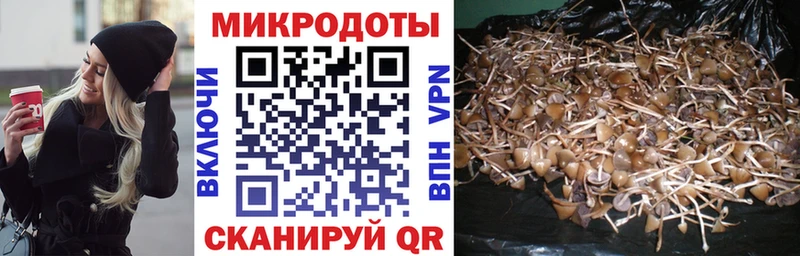 blacksprut tor  купить   Смоленск  Галлюциногенные грибы Magic Shrooms 