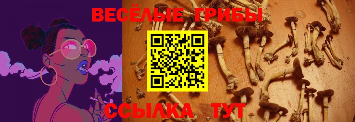 Галлюциногенные грибы прущие грибы  что такое наркотик  Смоленск  Вход с VPN 