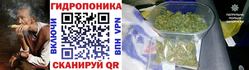 Конопля Amnesia  Смоленск 